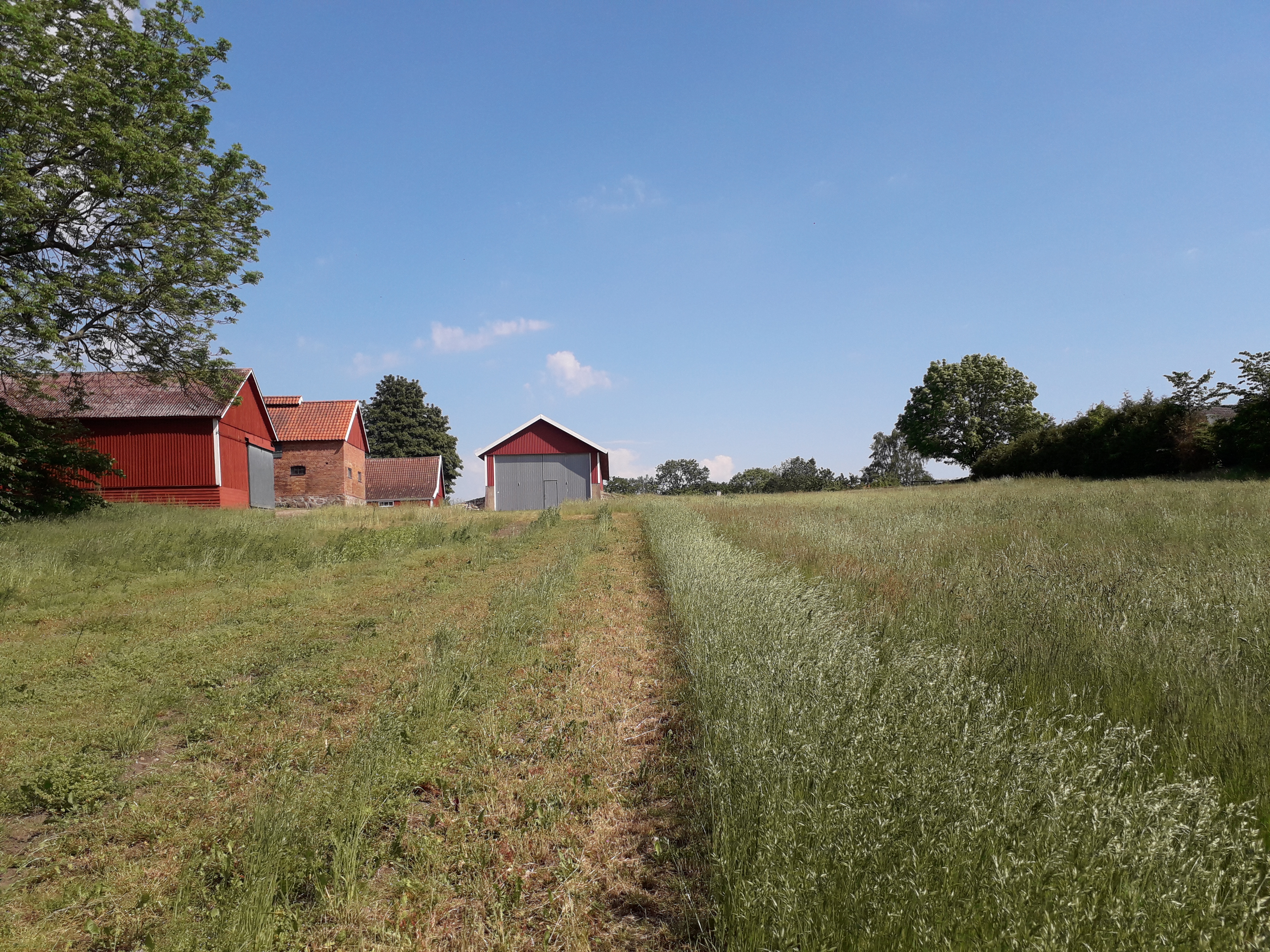 vy område