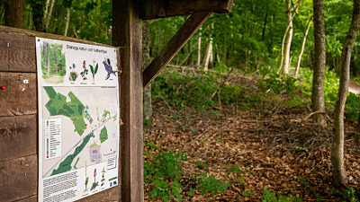 Naturbild i skog med en infotavla i förgrunden