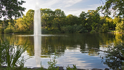 Trollsjön med träd i bakgrunden som speglar sig i vattnet. En fontän i bortre vänstra kanten av sjön sprutar högt.
