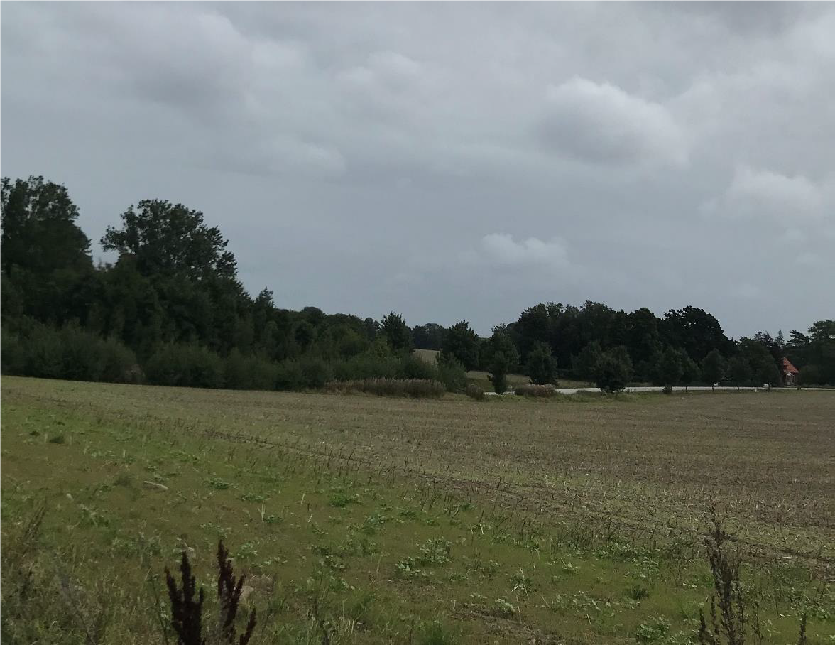 Foto p&aring; del av planomr&aring;det mot &ouml;st och v&auml;g 1314