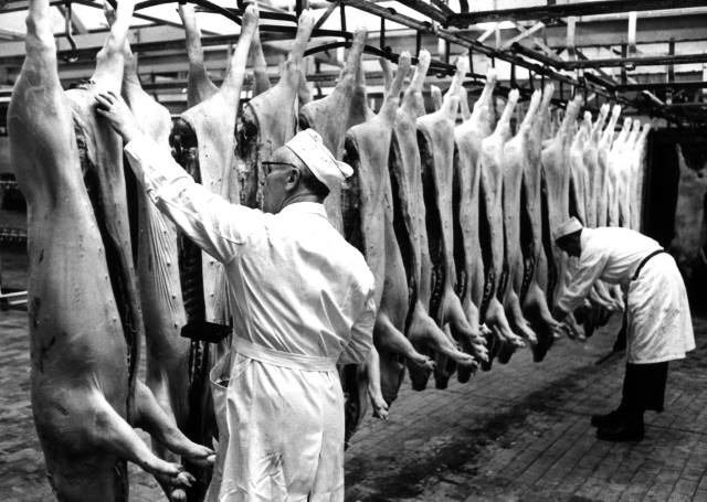 Esl&ouml;vs Svinslakteri AB. Foto: F&ouml;jers arkiv.