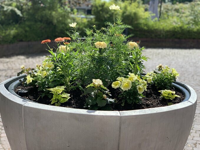Blomsterarrangemang sommaren 2022