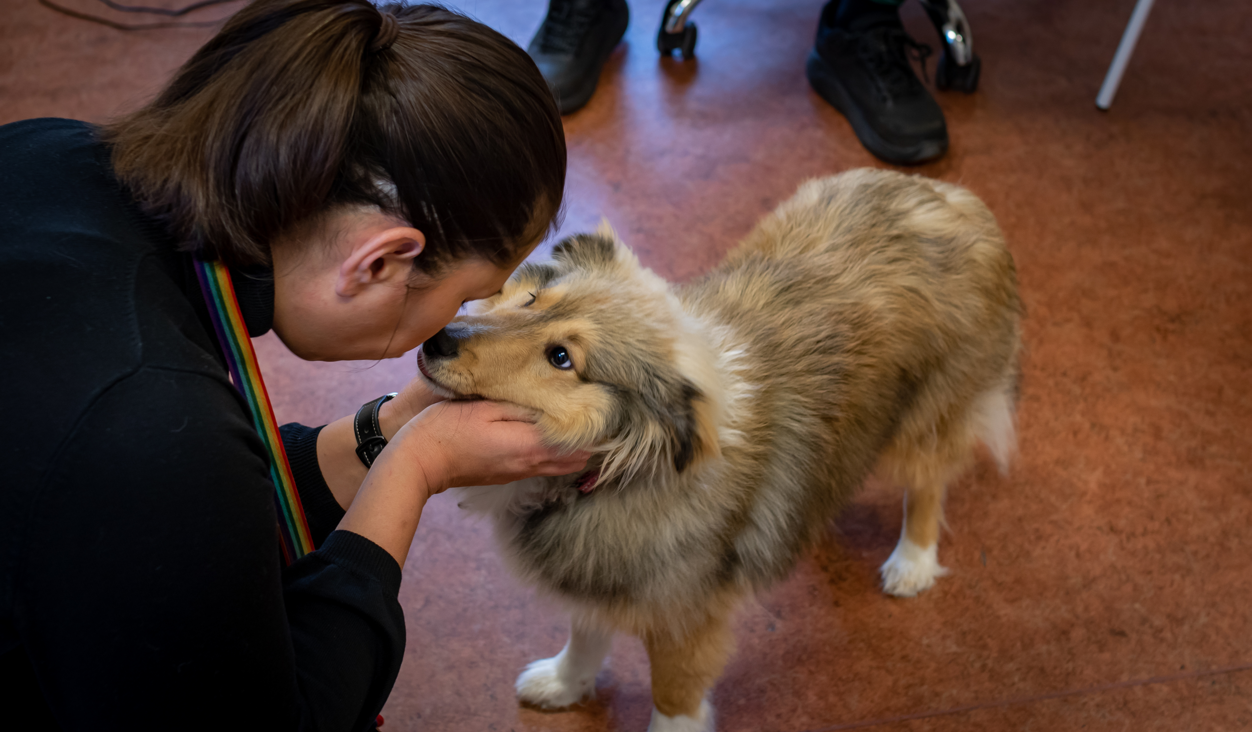 Hunden Hasse &auml;r omtyckt av b&aring;de elever och personal i Centrala undervisningsgruppen.