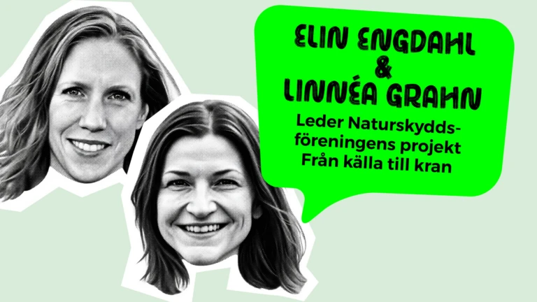 Vinjett med två kvinnoansikten