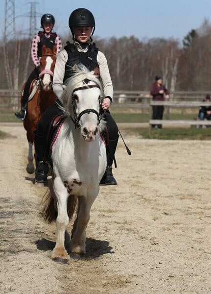 Två flickor som rider på hästar efter varandra i en paddock. 