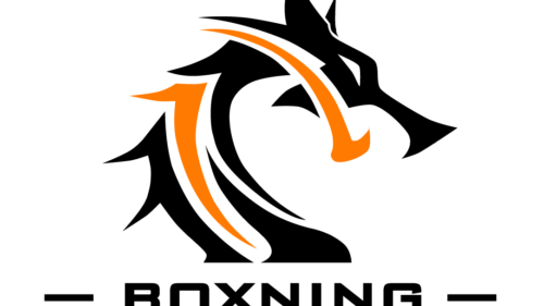 Prova på: Boxning