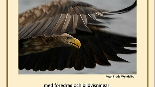 Eslövs Fotofestival