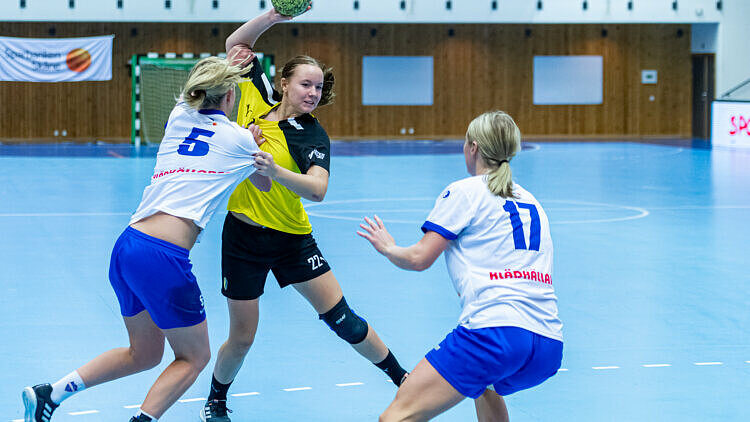 Handbollsmatch Division 1 södra, damer