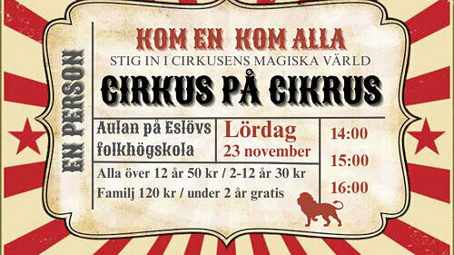 Cirkus på cirkus – en pirrig musikal!