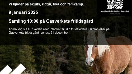 Turridning på jullovet