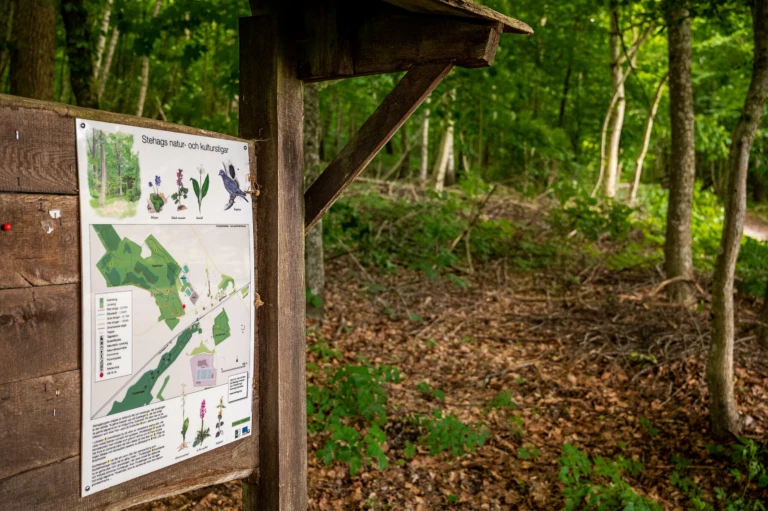 Naturbild i skog med en infotavla i förgrunden