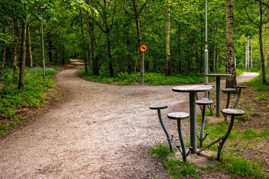 Naturstig i Gyaskogen, Stehag.