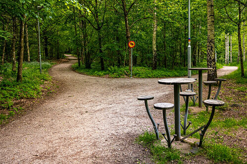 I Gyaskogen finns ett belyst elljusspår och flera promenadstigar. I skogen hittar man även ett utegym och en grillplats. Foto: Christoffer Borg Mattisson.