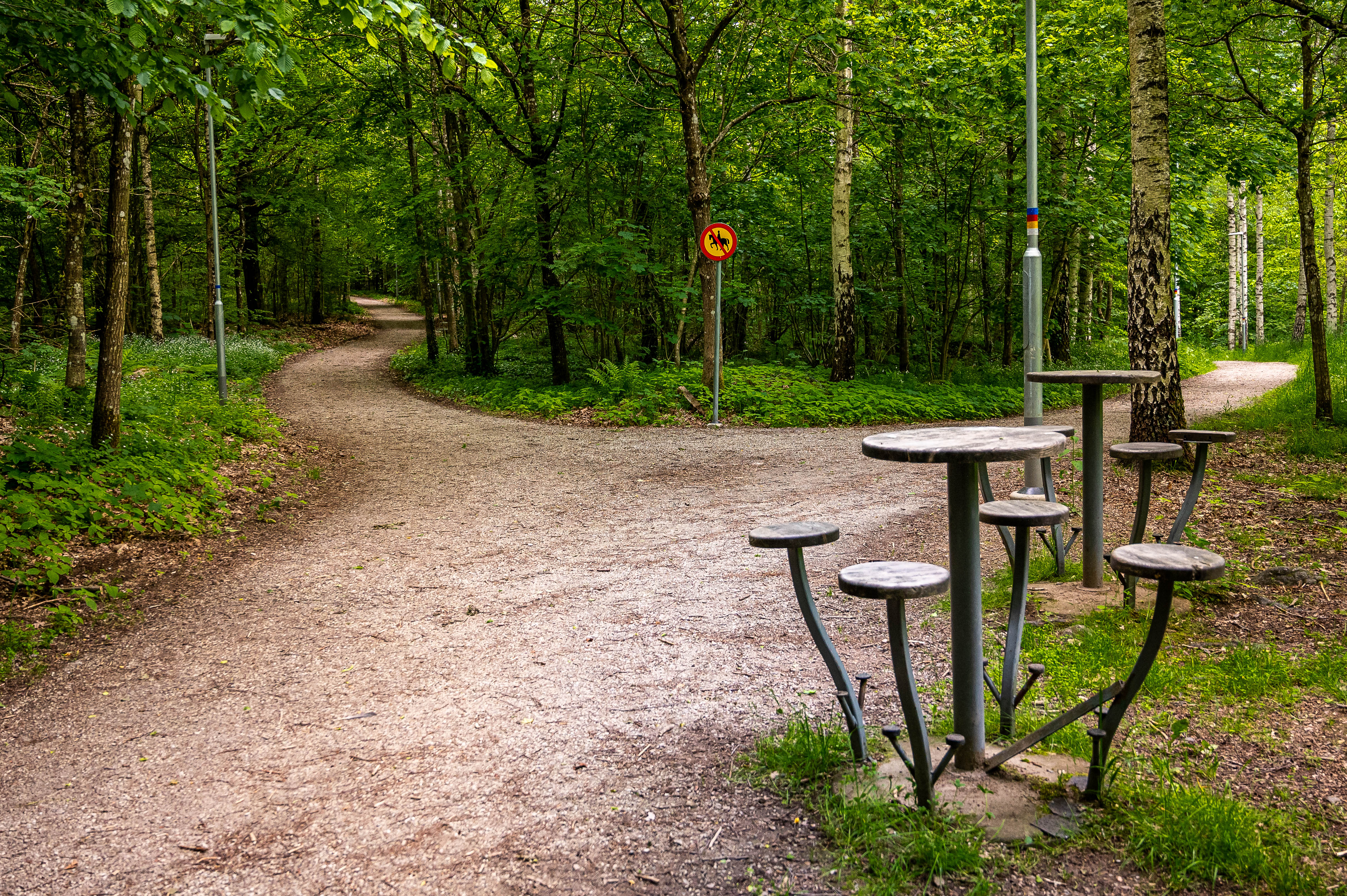I Gyaskogen finns ett belyst elljussp&aring;r och flera promenadstigar. I skogen hittar man &auml;ven ett utegym och en grillplats. Foto: Christoffer Borg Mattisson.