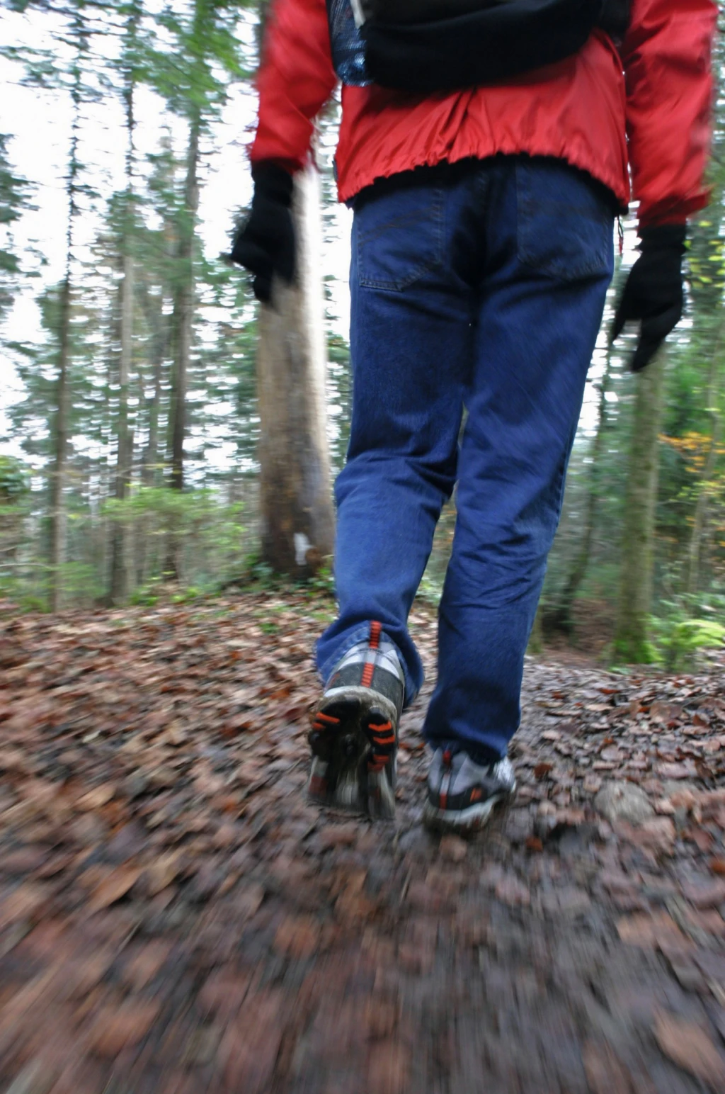 Närbild på en persons ben i en skog