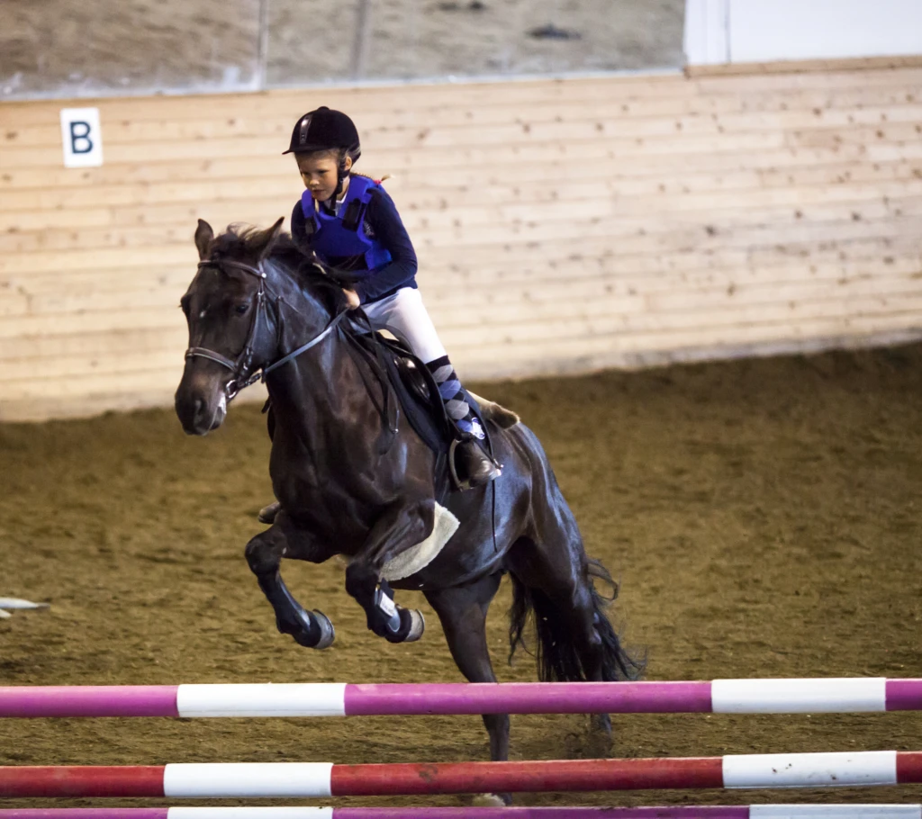 Flicka sitter på häst som hoppar över ett hinder