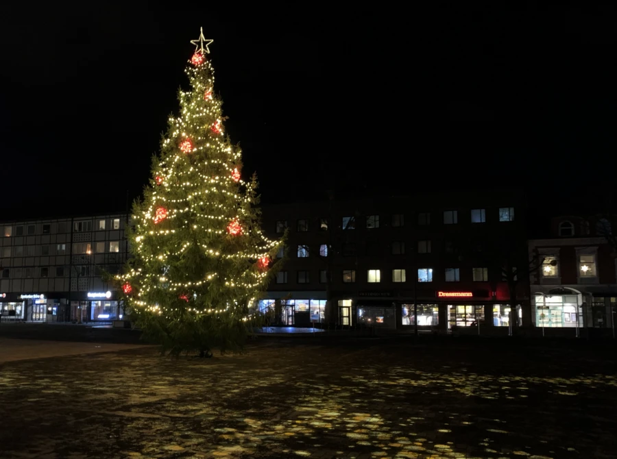 Granen &auml;r naturligtvis p&aring; plats lagom till advent.