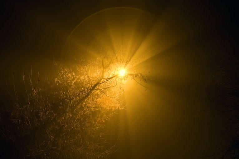 Gatubelysning på natten lyser genom trädgrenar