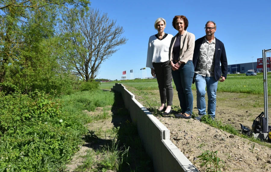 Eva Hallberg, kommundirektör, Catharina Malmborg (M), kommunstyrelsens första vice ordförande, och Johan Andersson (S), kommunstyrelsens ordförande, inspekterar den mur som ska se till att de fridlysta vattensalamandrarna är skyddade.
