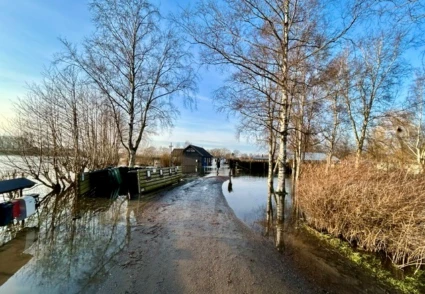 Översvämmad infartsgata till Ringsjöbaden. Hus i bakgrunden, träd och buskat längs vägen i förgrunden.