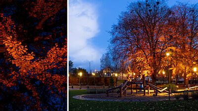 Stora torg och Stadsparken lyser orange mot våld i nära relationer