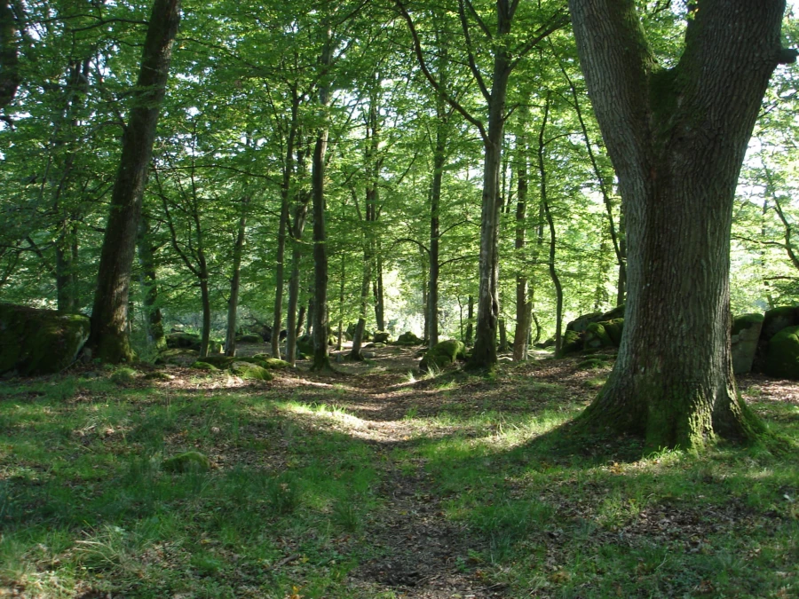 Intill den planerade gruvan ligger ett s&aring; kallat Natura 2000-omr&aring;de med den utslocknade vulkanen J&auml;llabj&auml;r.