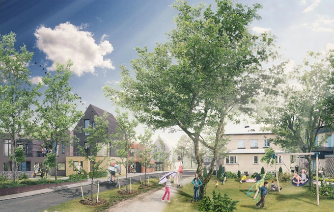 Illustration över sädgåsen