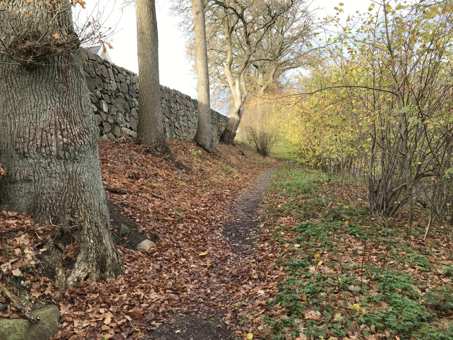 Den gamla skjutvallen i Skytteskogen hägnas in under en period