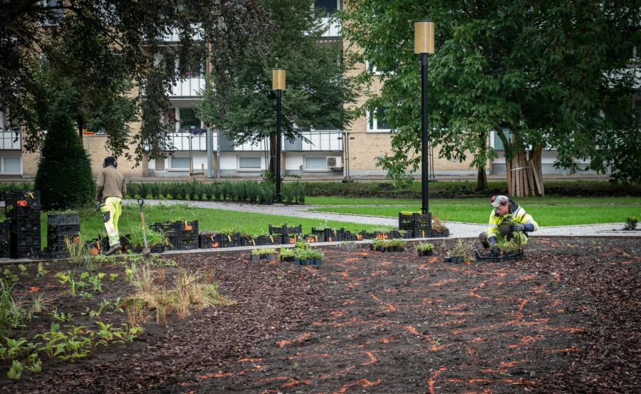 Entrepren&ouml;ren jobbar p&aring; med planteringarna i Stadsparken.