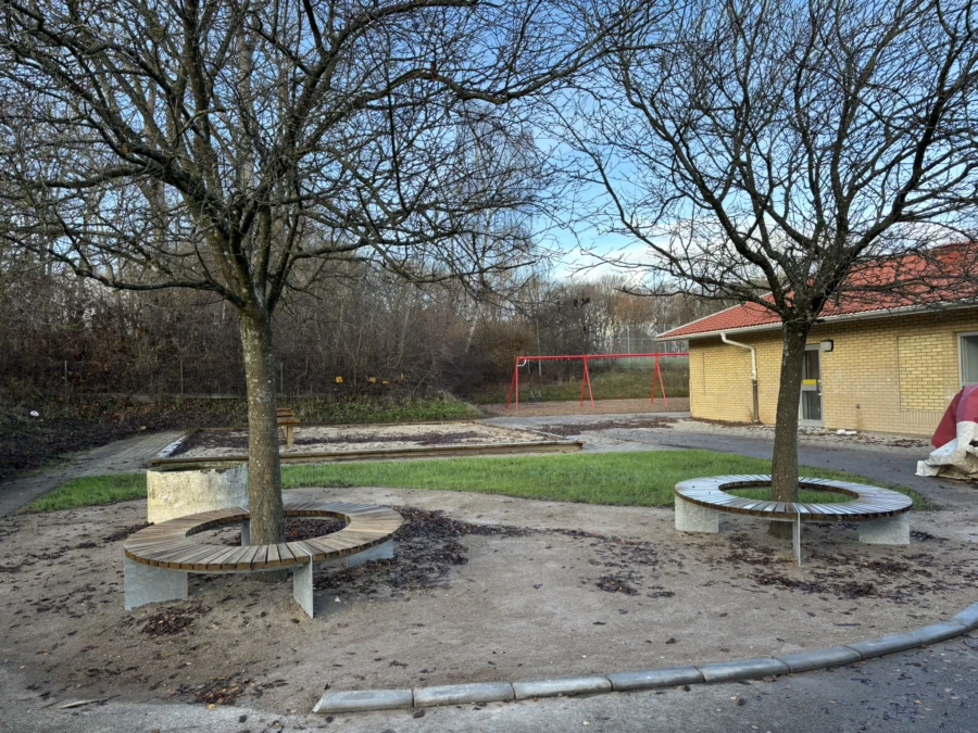 Tv&aring; tr&auml;d p&aring; en skolg&aring;rd