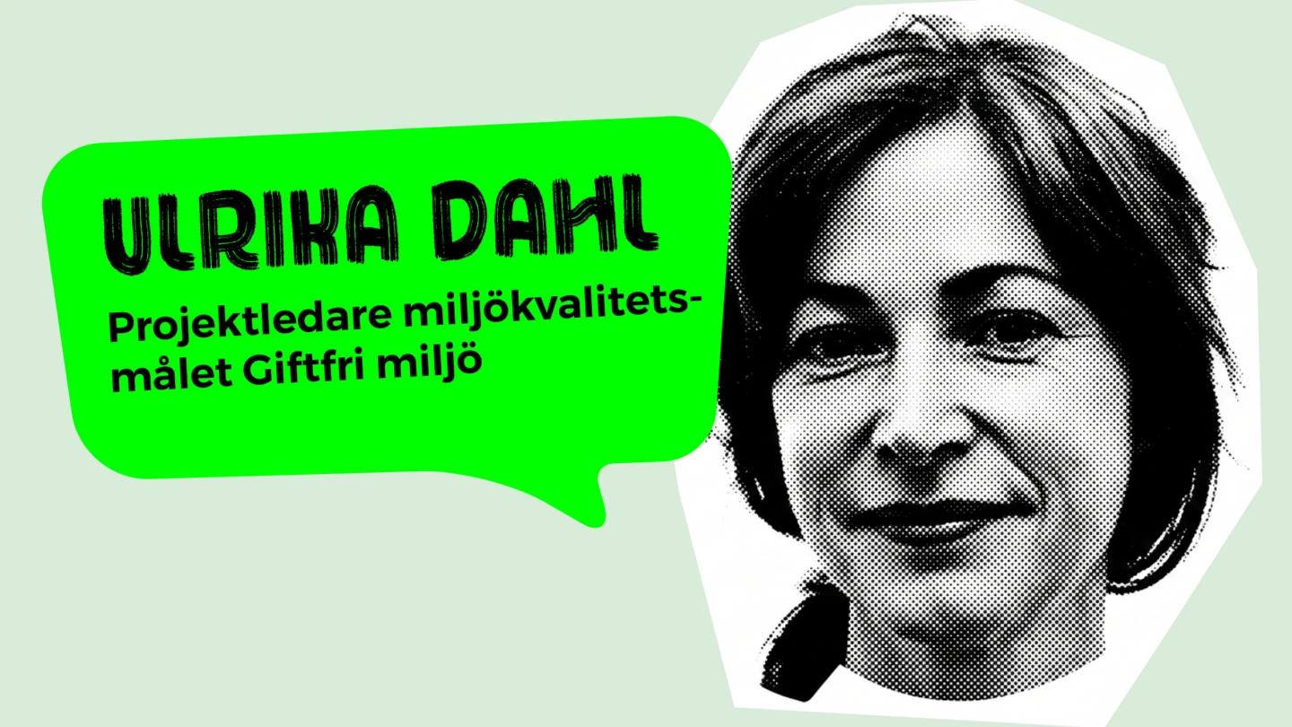 Porträtt av kvinna med en pratbubbla där det står Ulrika Dahl, Kemikalieinspektionen